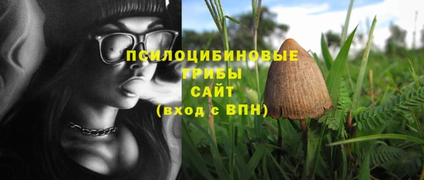 дживик Балахна