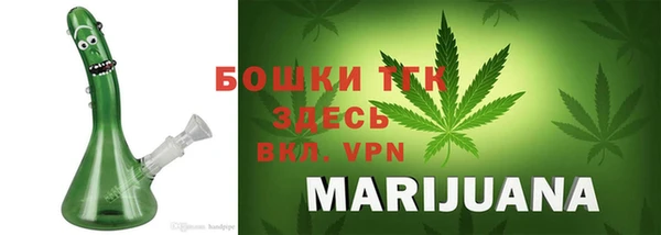 дживик Балахна