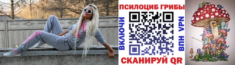 Купить Печора Галлюциногенные грибы прущие грибы