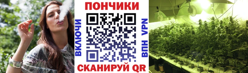 Конопля Amnesia  Купить где  Печора 